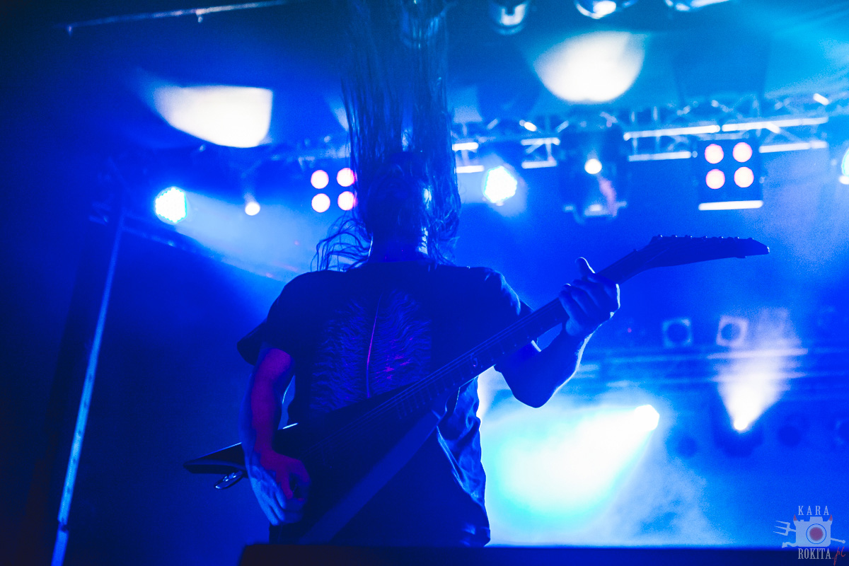 Gojira