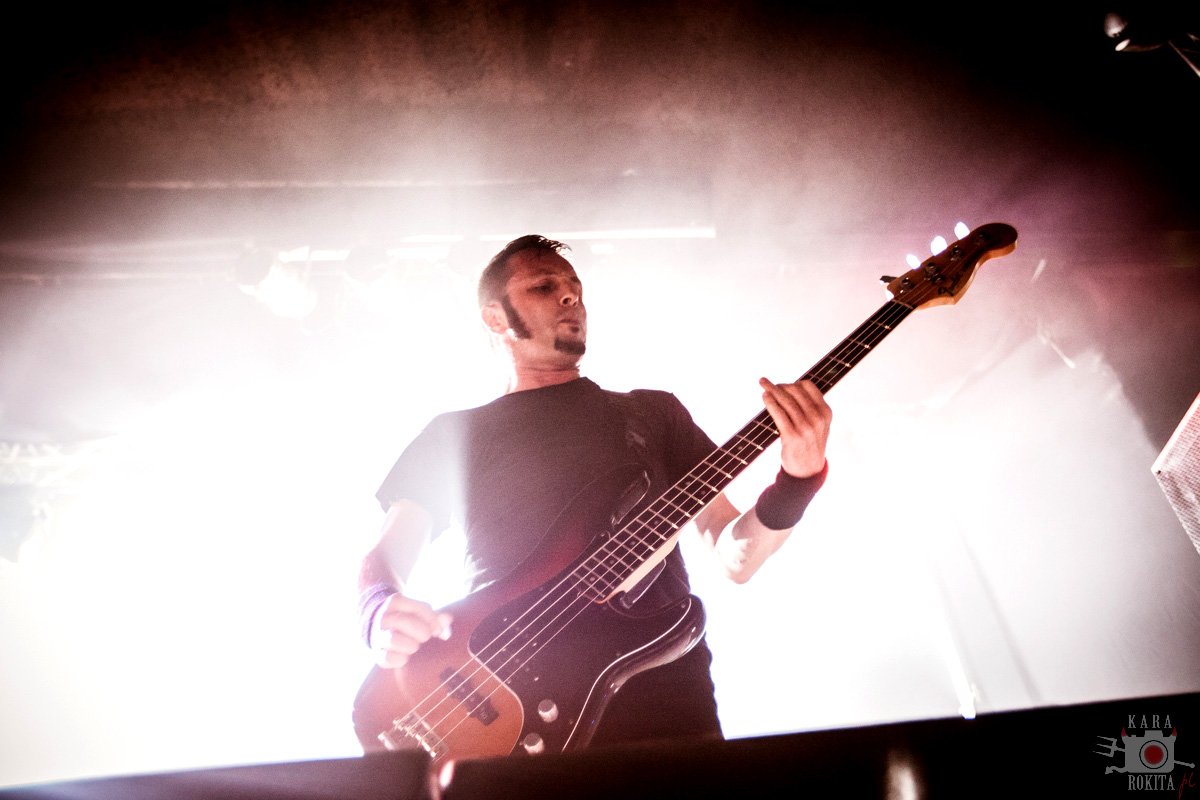 Gojira