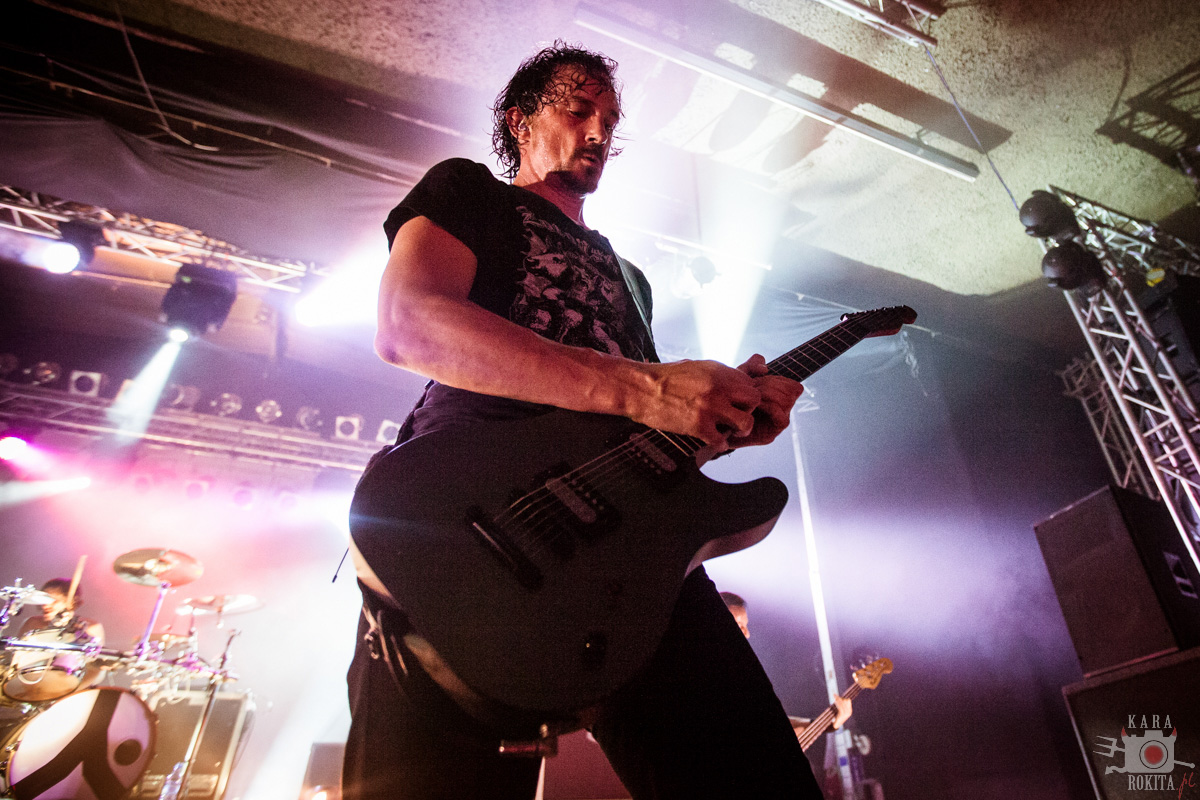 Gojira