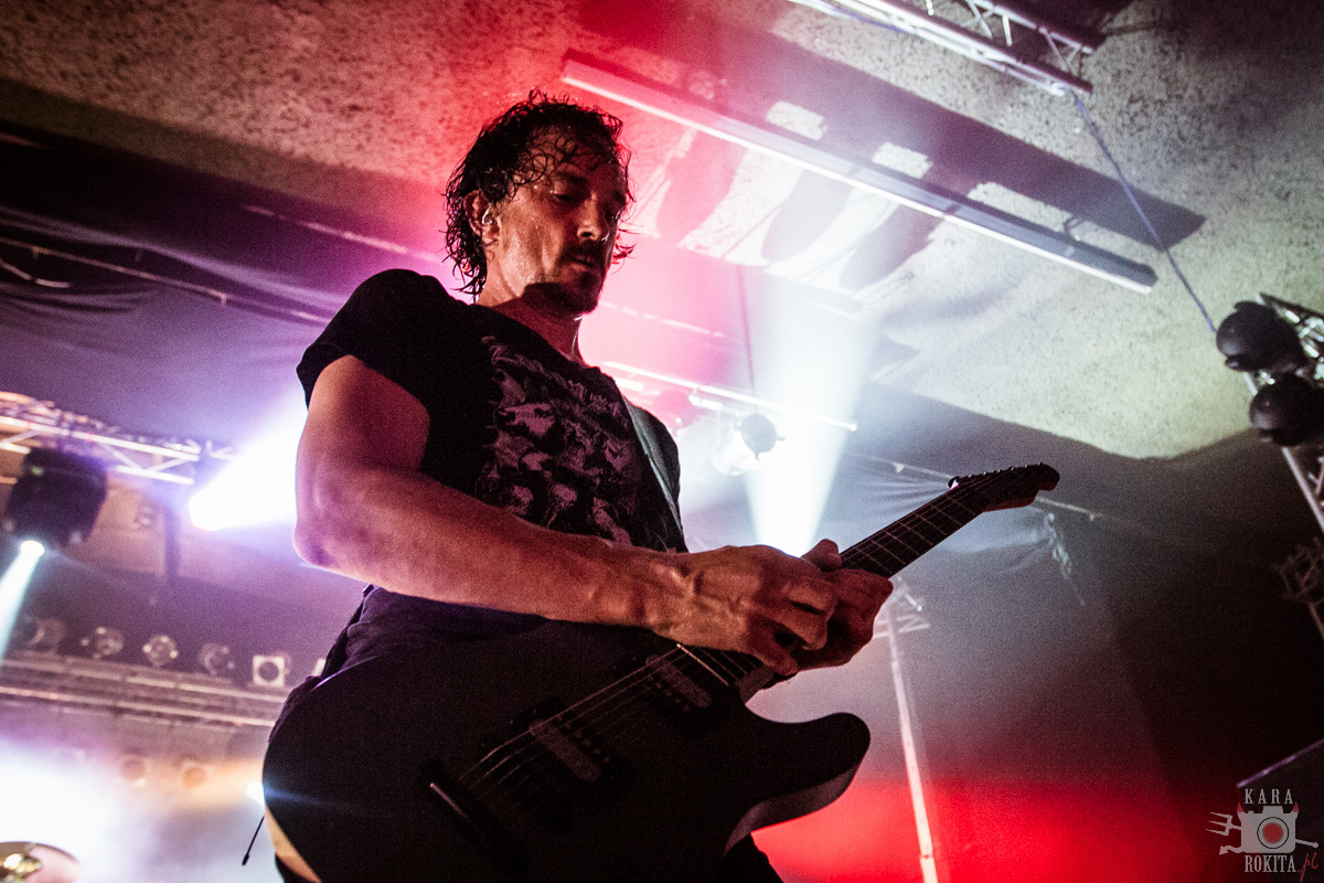 Gojira