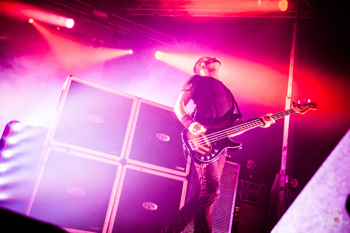 Gojira