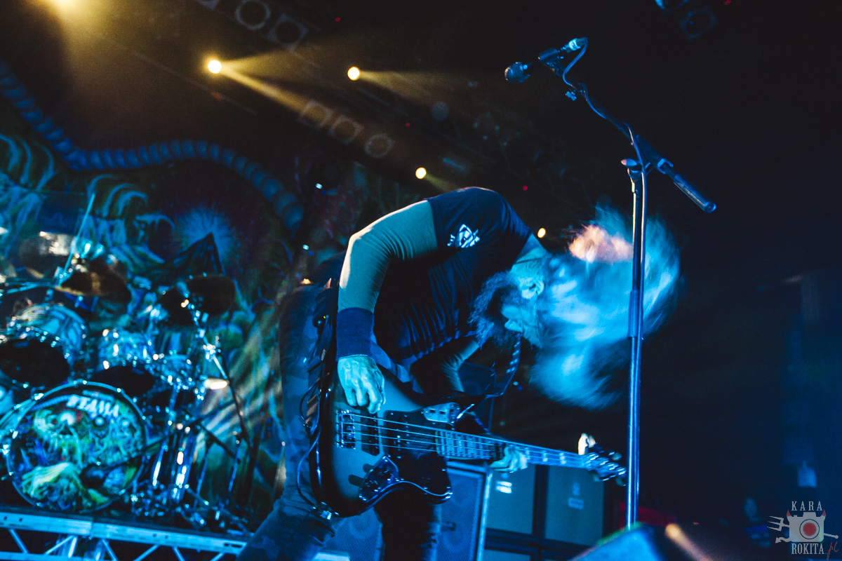 Mastodon
