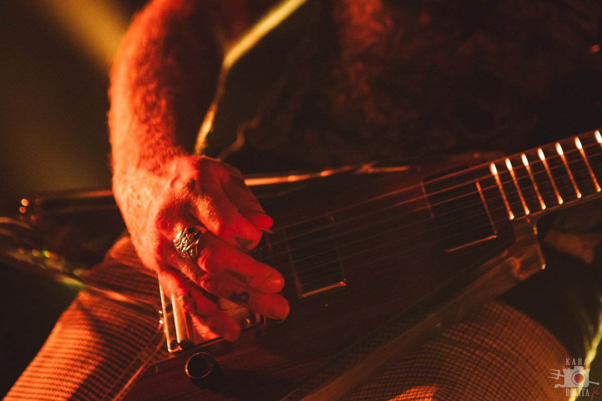 Mastodon