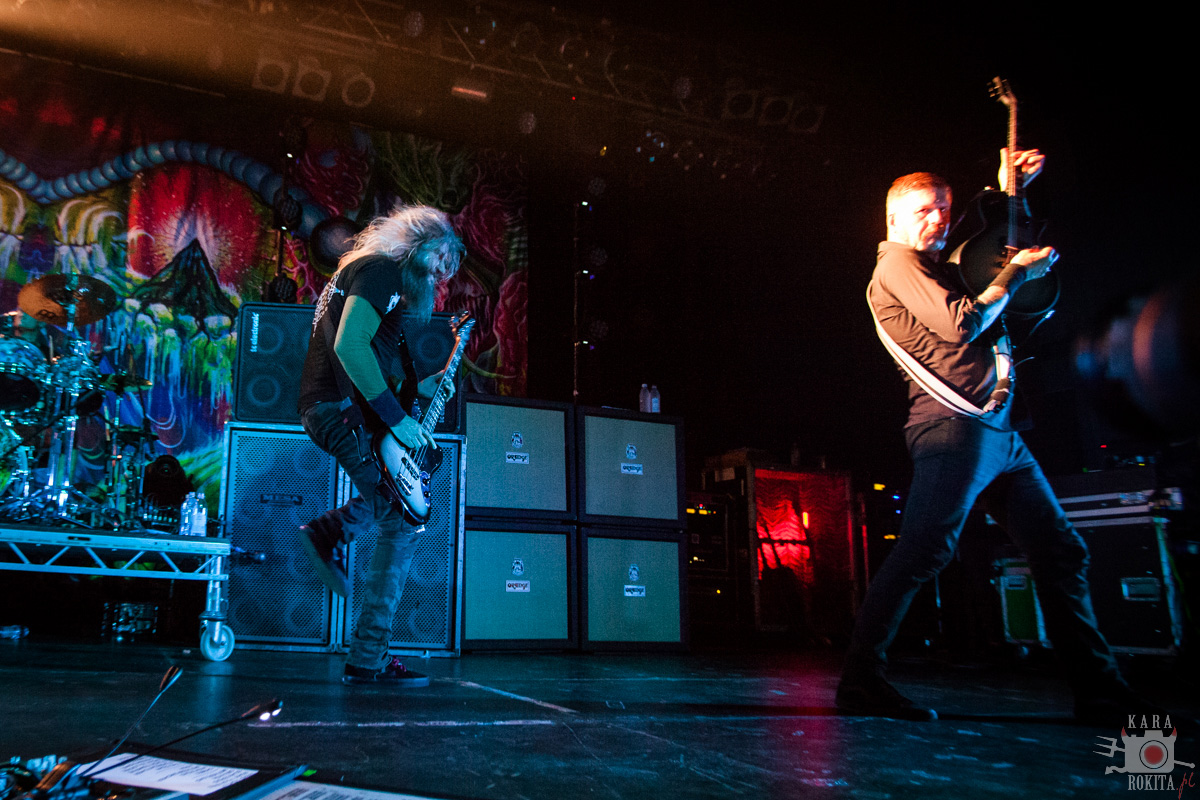Mastodon