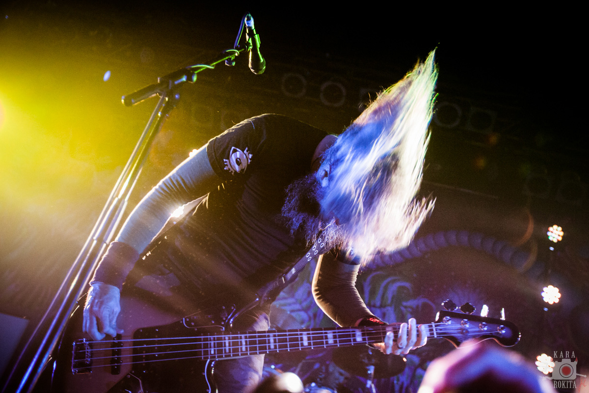 Mastodon
