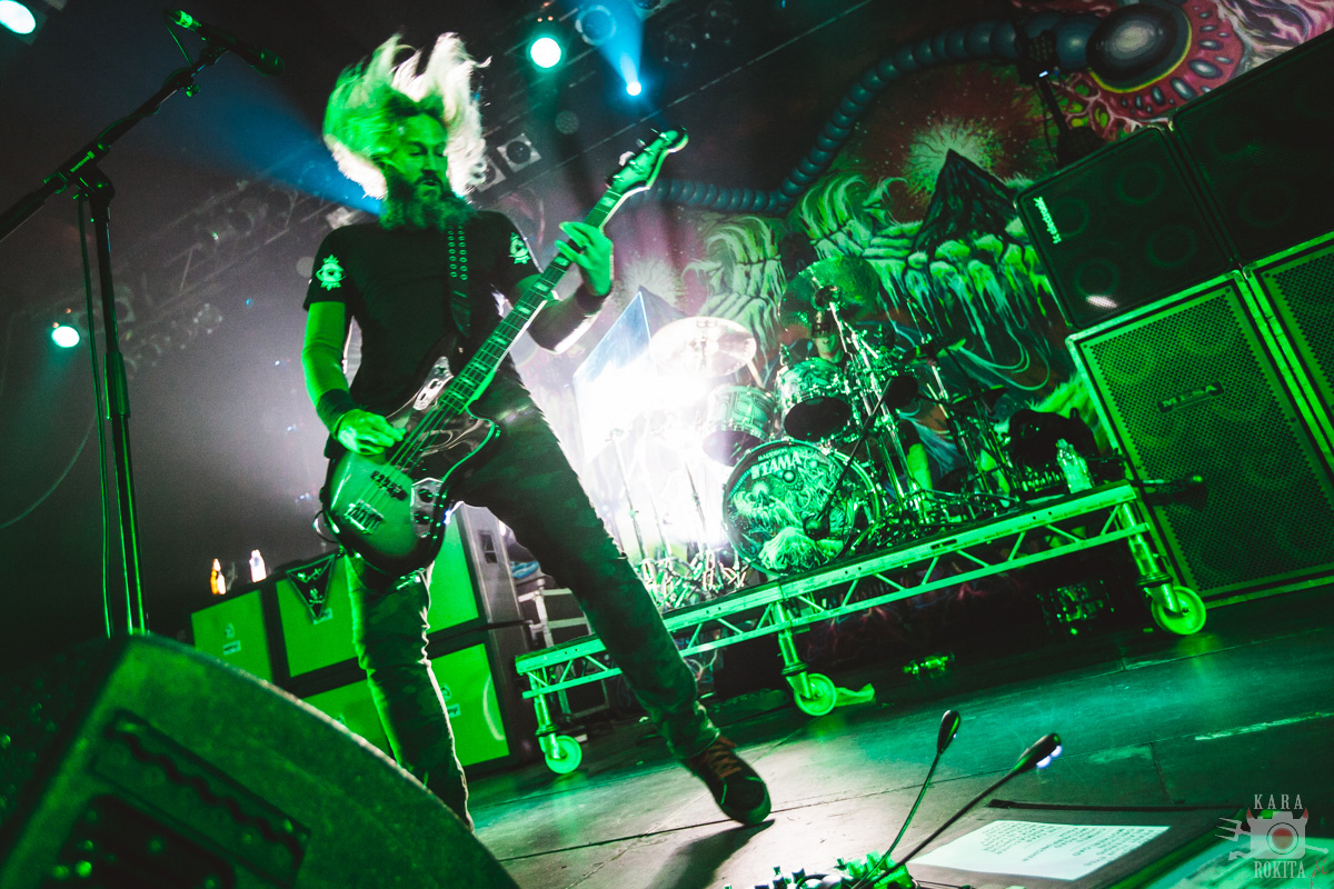 Mastodon