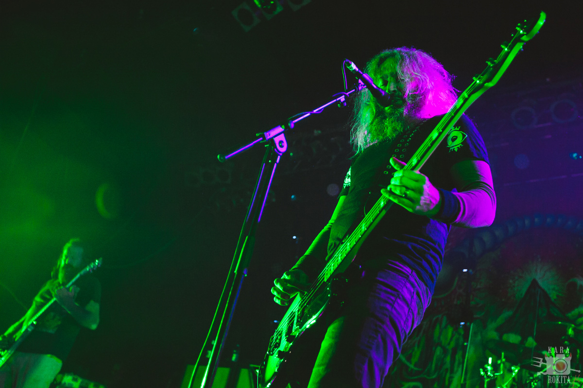 Mastodon