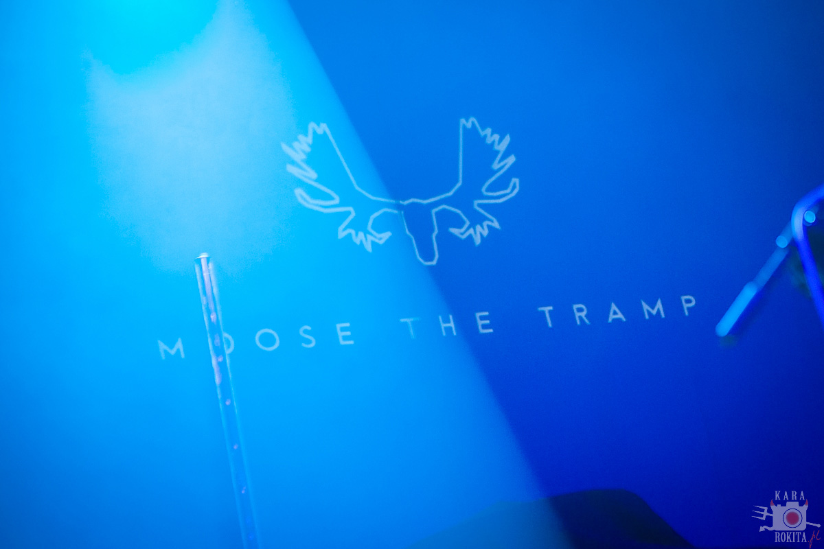 Moose The Tramp