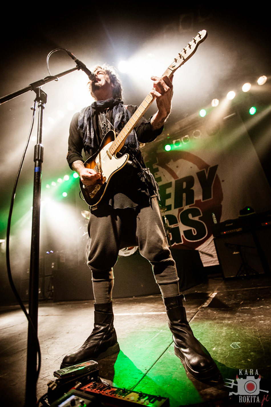 The Winery Dogs