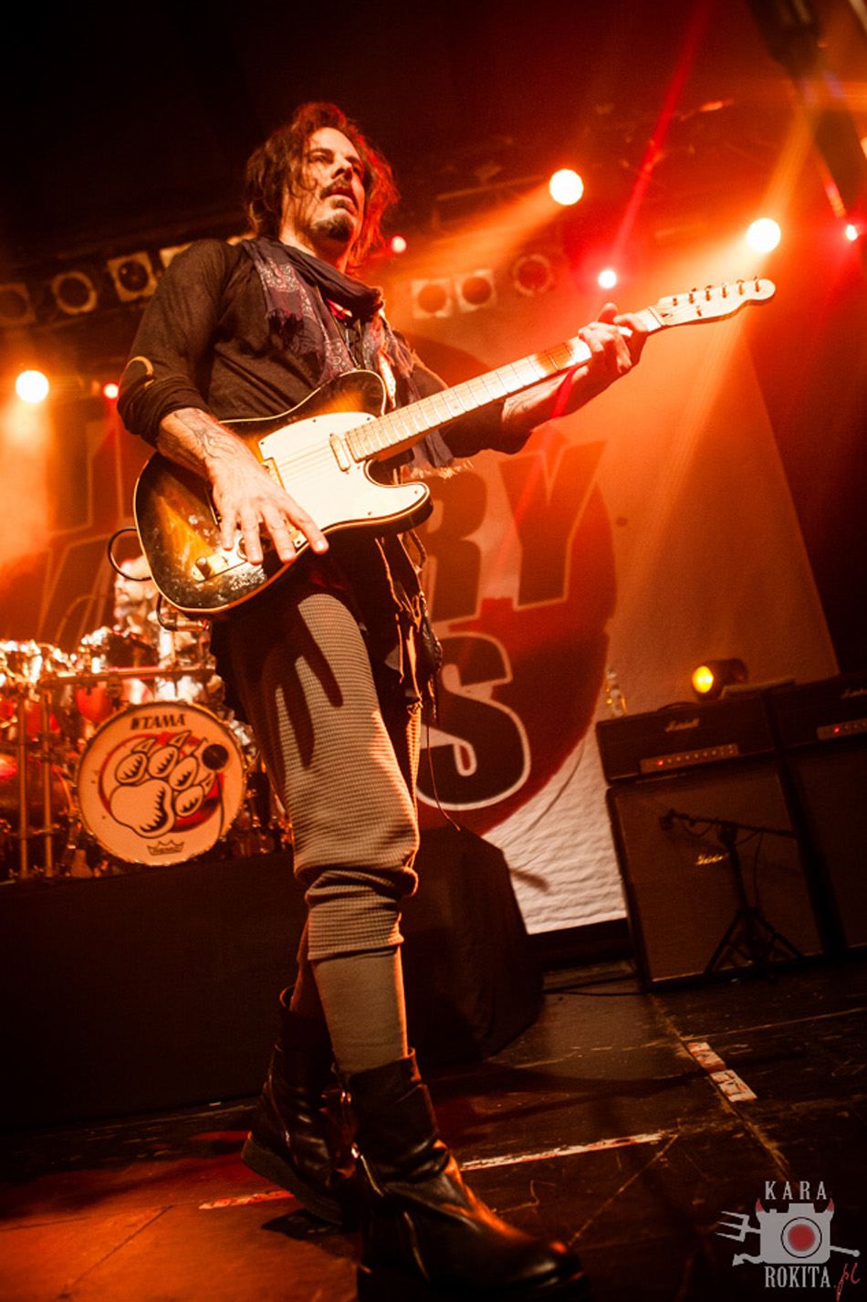 The Winery Dogs
