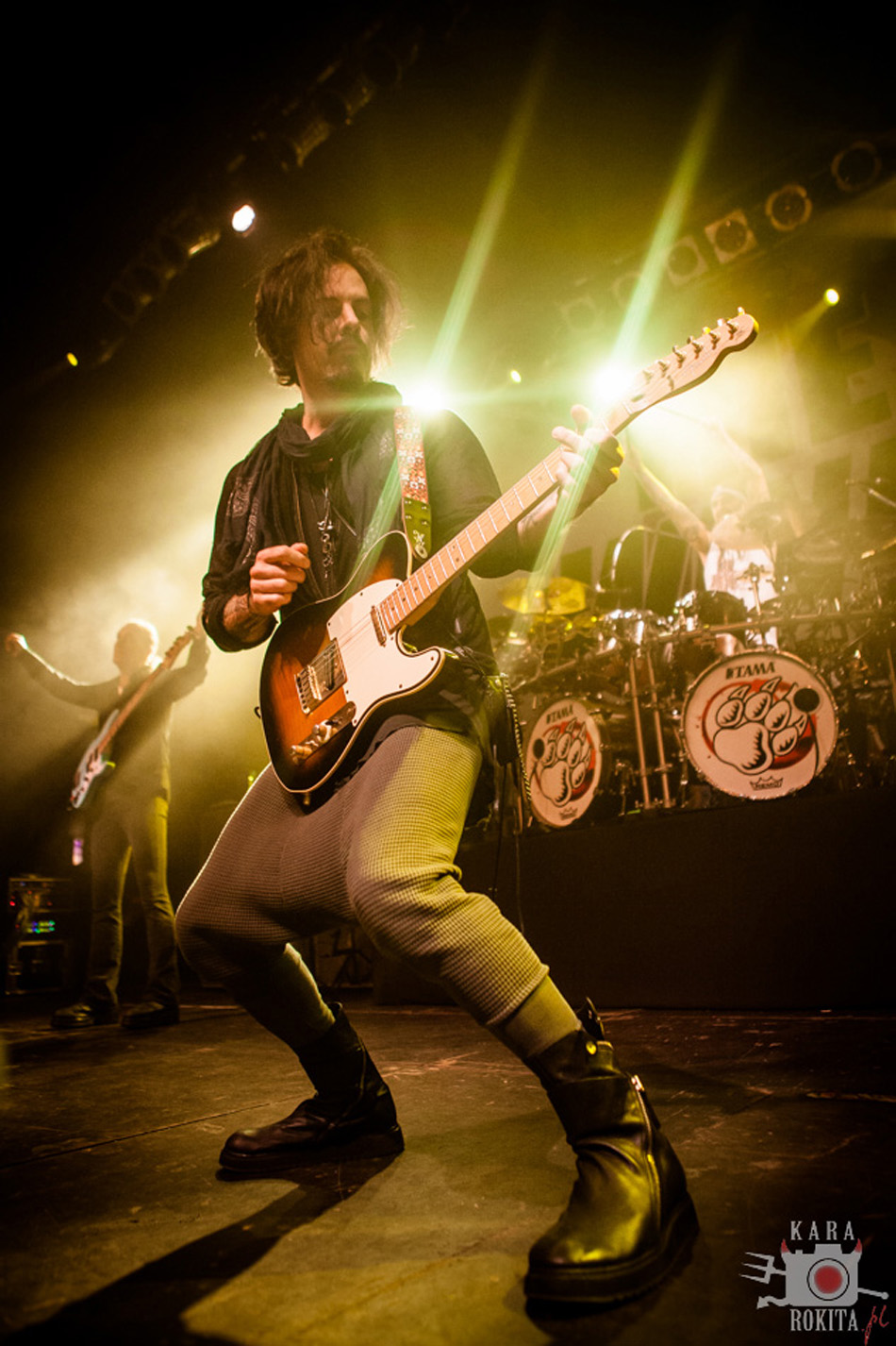 The Winery Dogs
