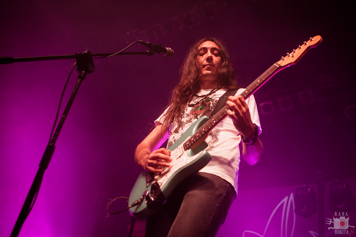 Alcest