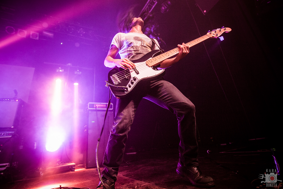 Alcest