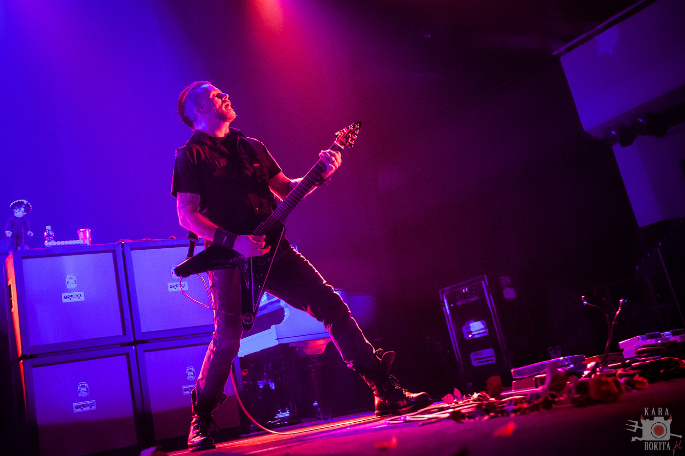 Evanescence