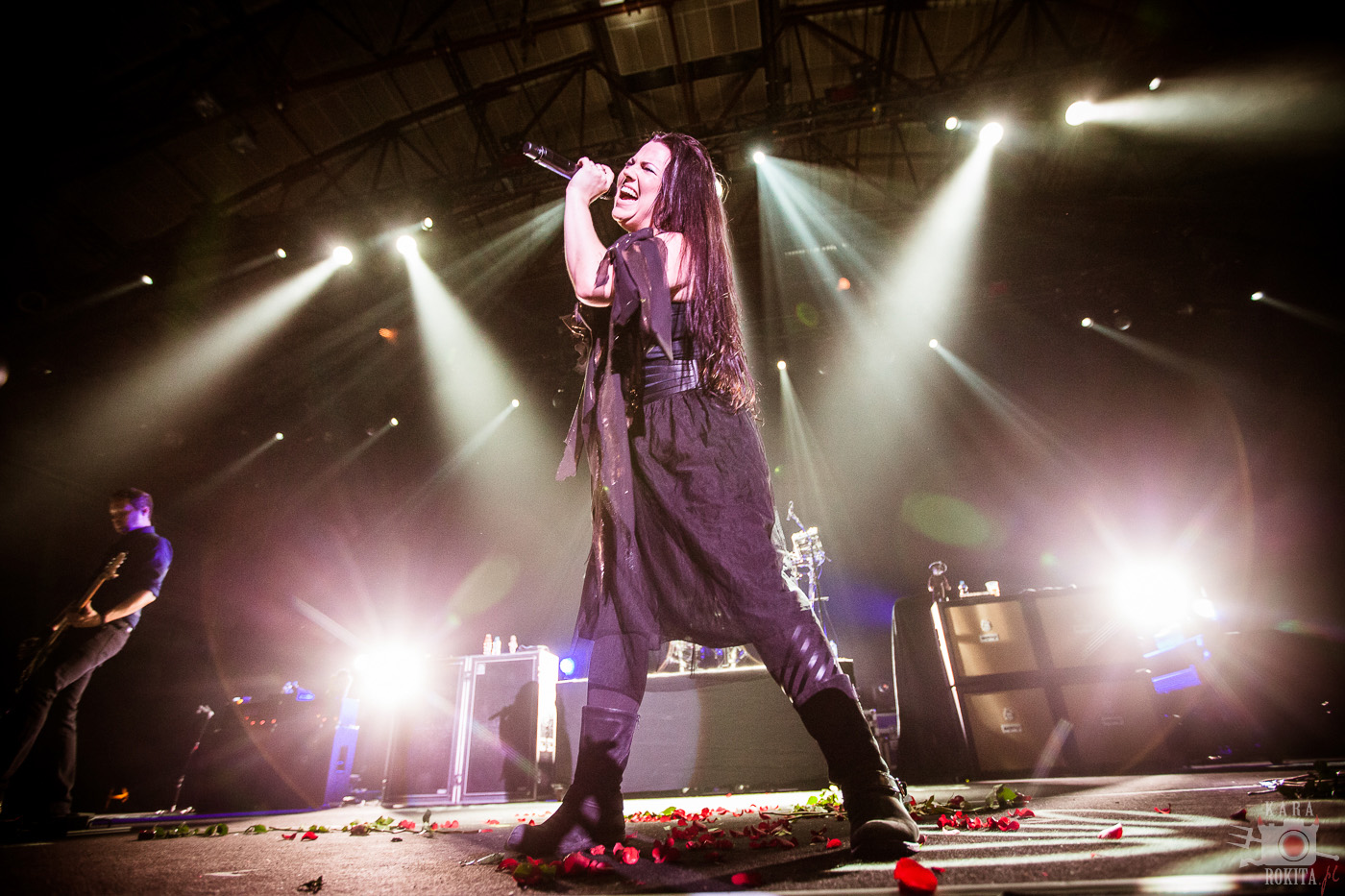 Evanescence