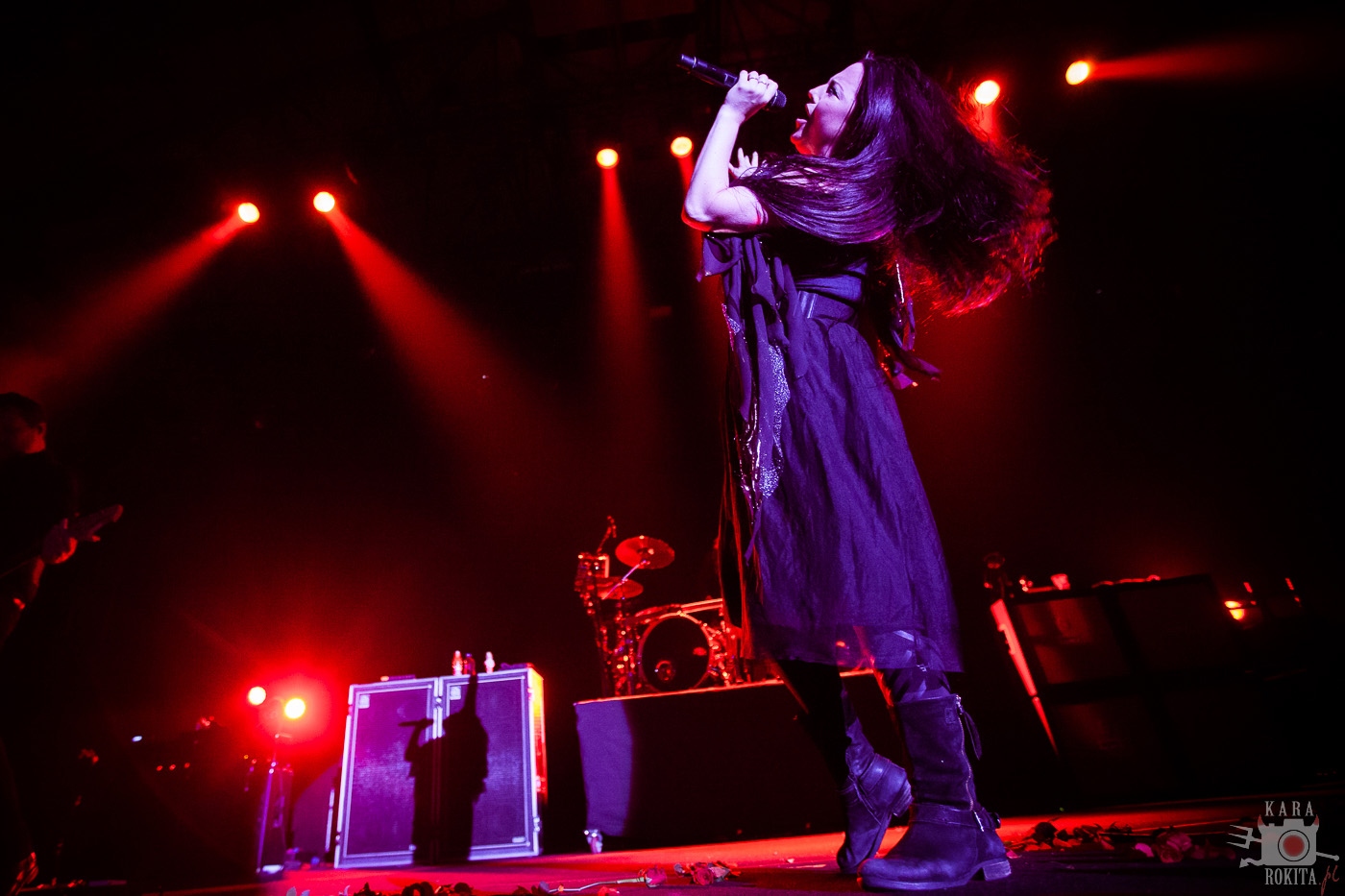 Evanescence