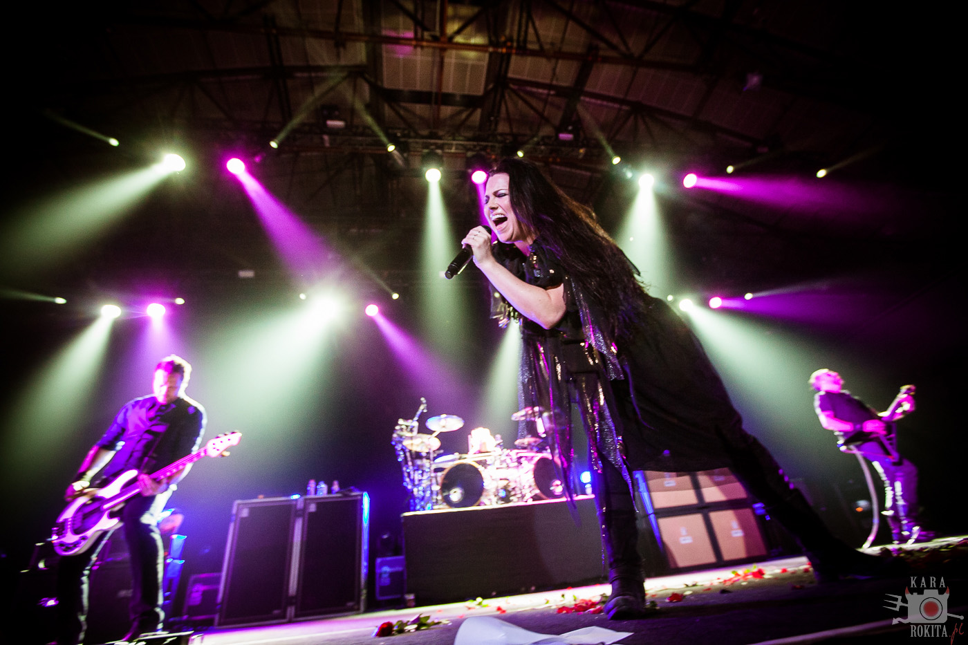 Evanescence