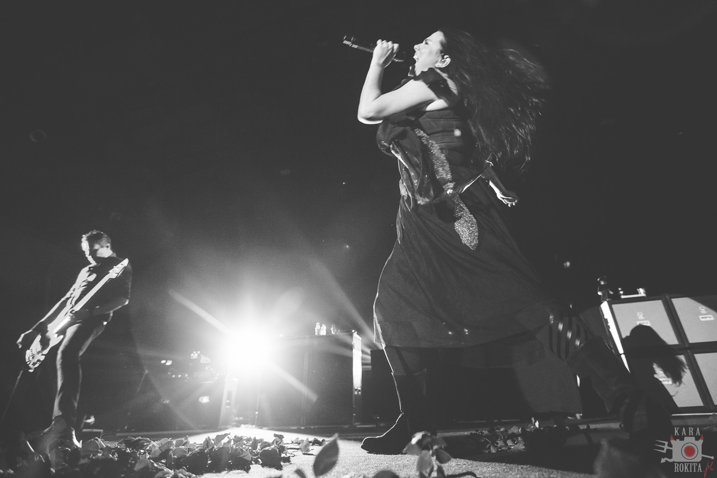 Evanescence