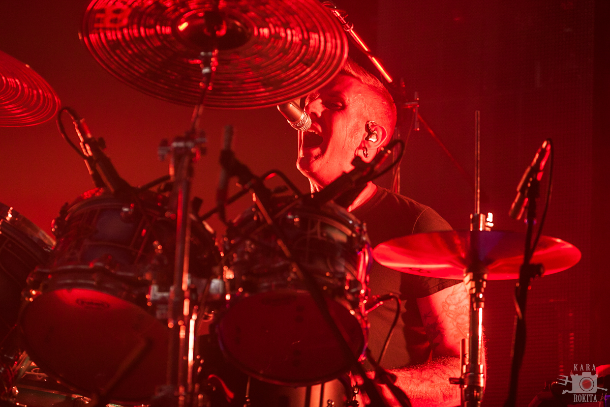 Mastodon