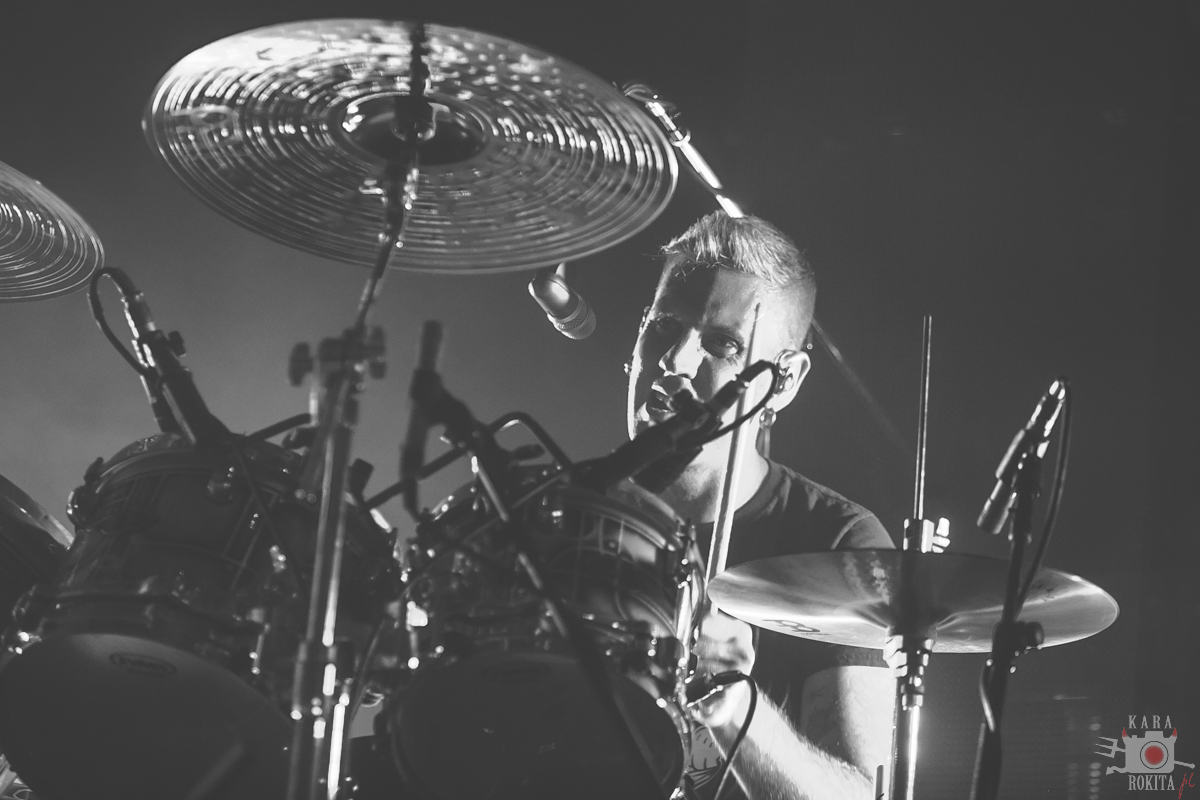 Mastodon