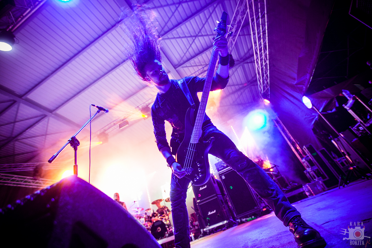 Wolfheart