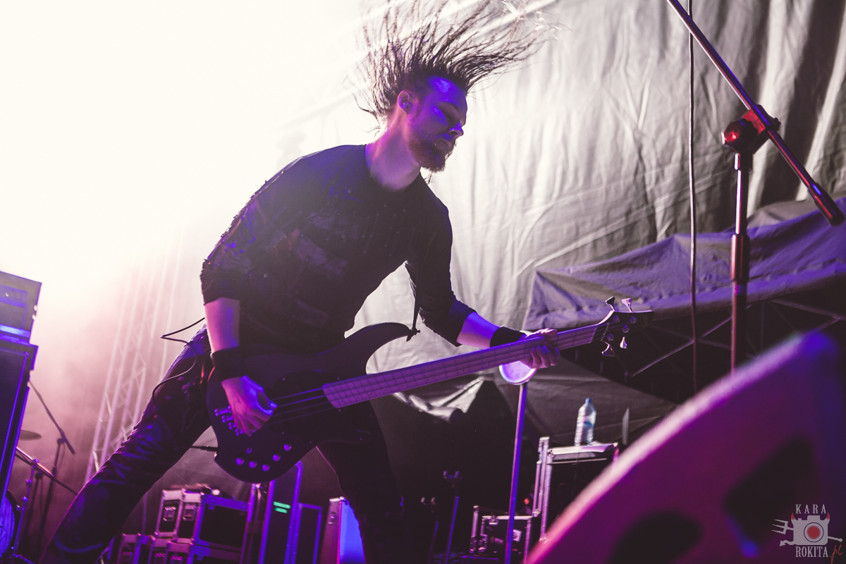 Wolfheart