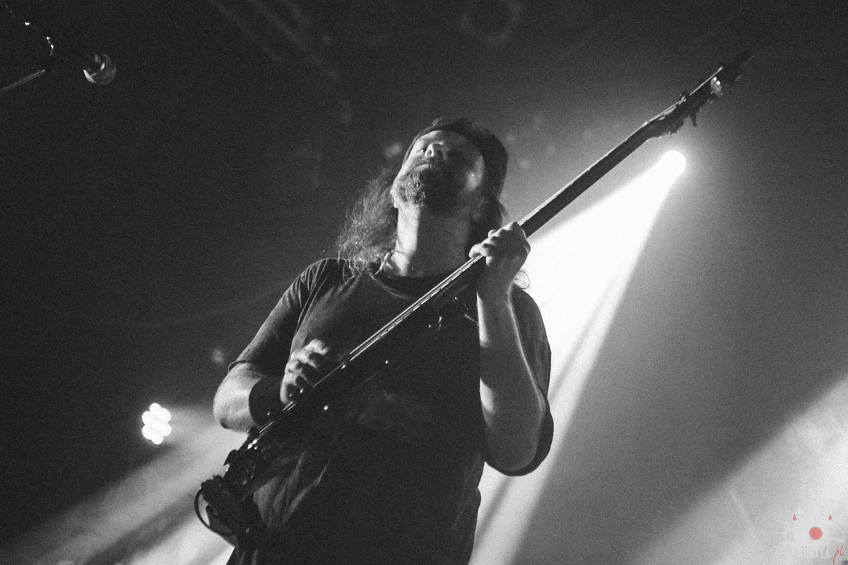 Pain of Salvation