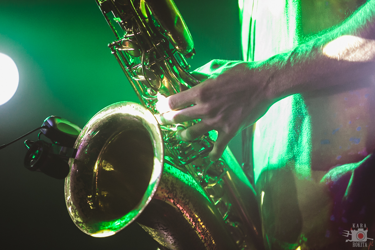 Too Many Zooz