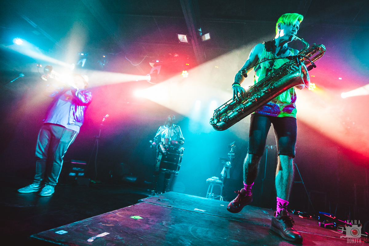 Too Many Zooz