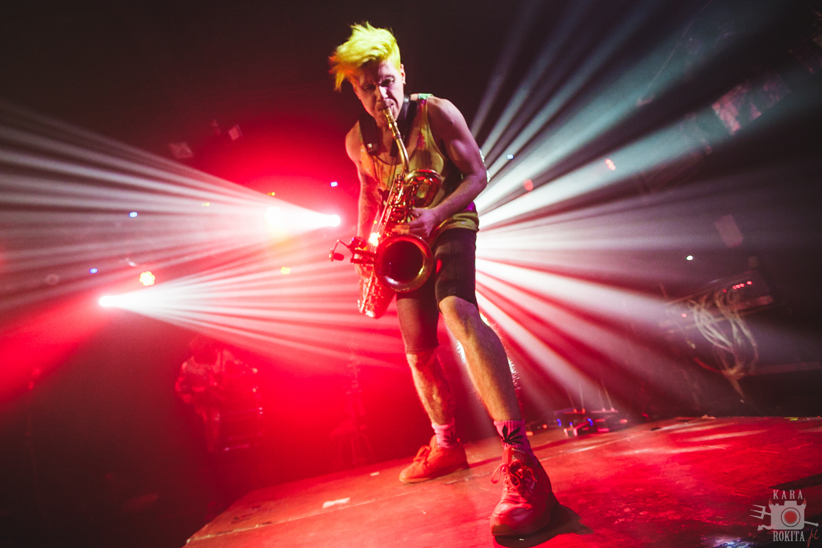 Too Many Zooz