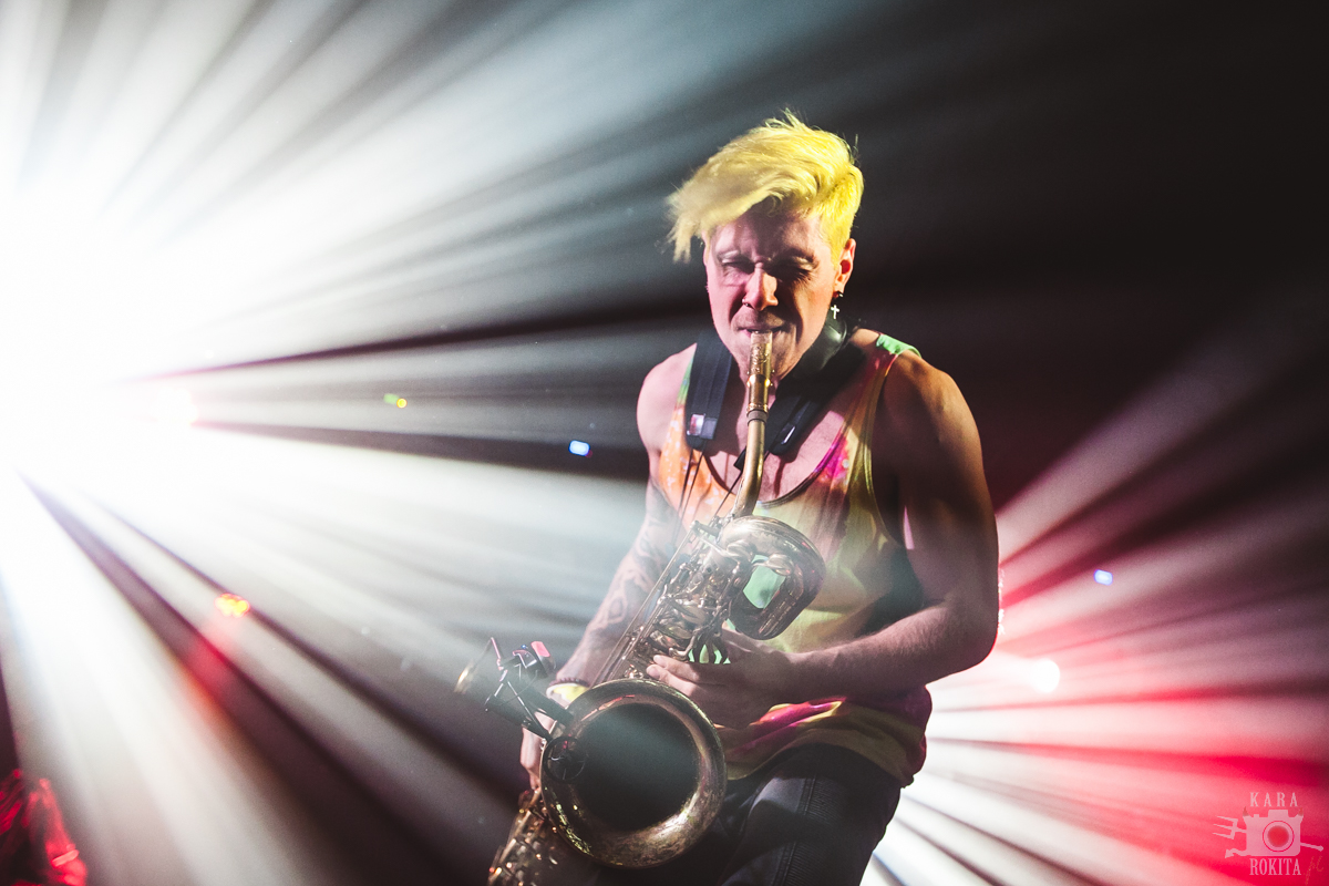 Too Many Zooz