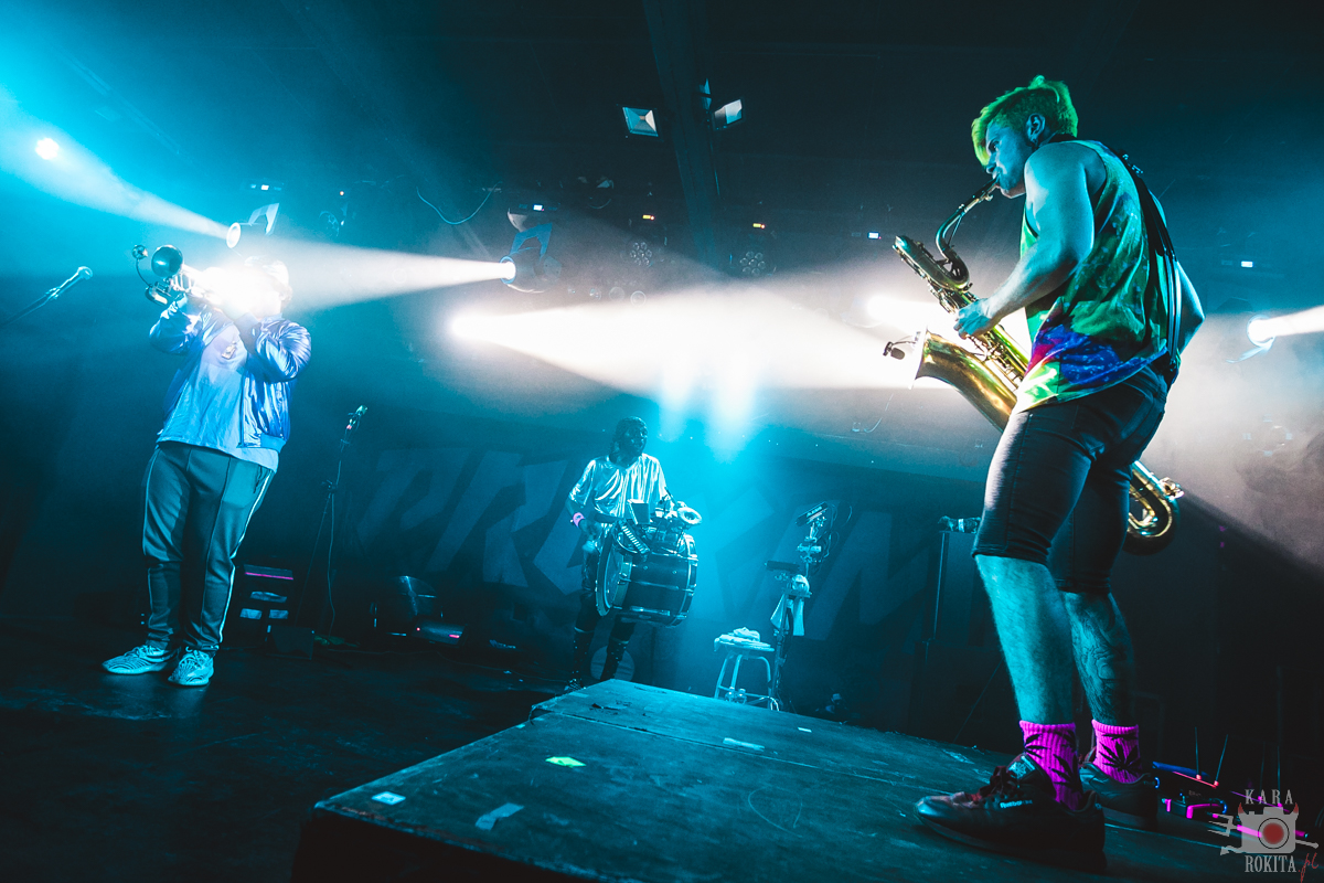 Too Many Zooz